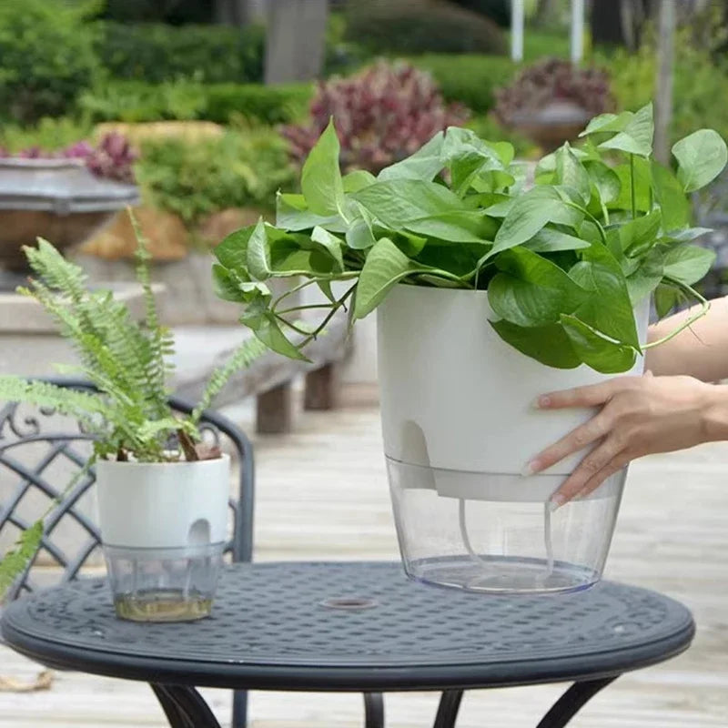 Self Watering Flowerpot