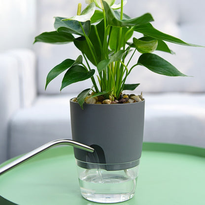 Self Watering Flowerpot